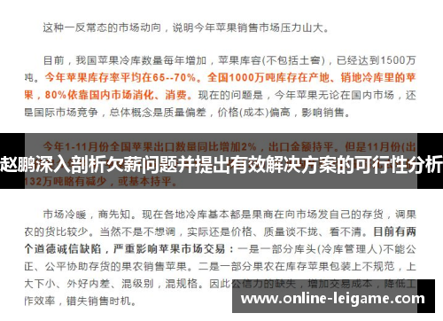 赵鹏深入剖析欠薪问题并提出有效解决方案的可行性分析