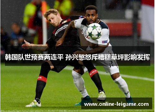 韩国队世预赛两连平 孙兴慜怒斥糟糕草坪影响发挥 韩国队世预赛两连平 孙兴慜怒斥糟糕草坪影响发挥